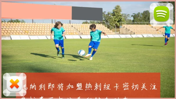 托纳利即将加盟热刺纽卡密切关注弗拉泰西与法乔利转会动态