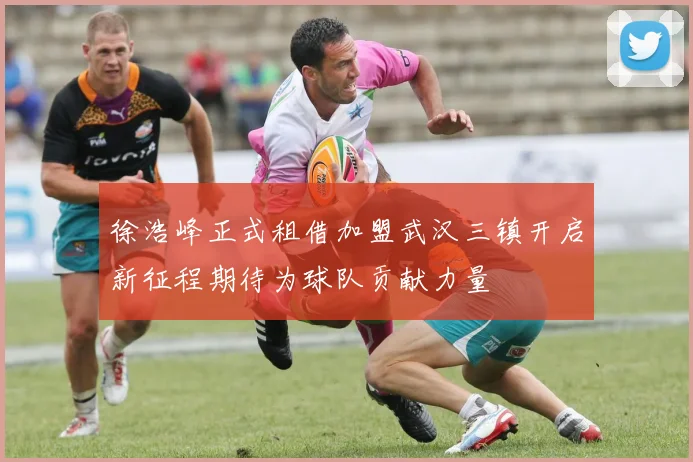 徐浩峰正式租借加盟武汉三镇开启新征程期待为球队贡献力量